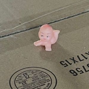 Meet your Posher, Daisy